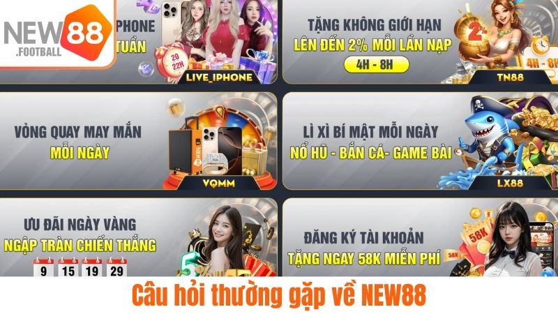 Câu hỏi về NEW88