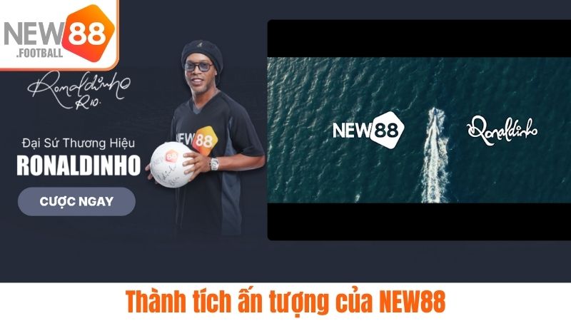 Thành tích của NEW88